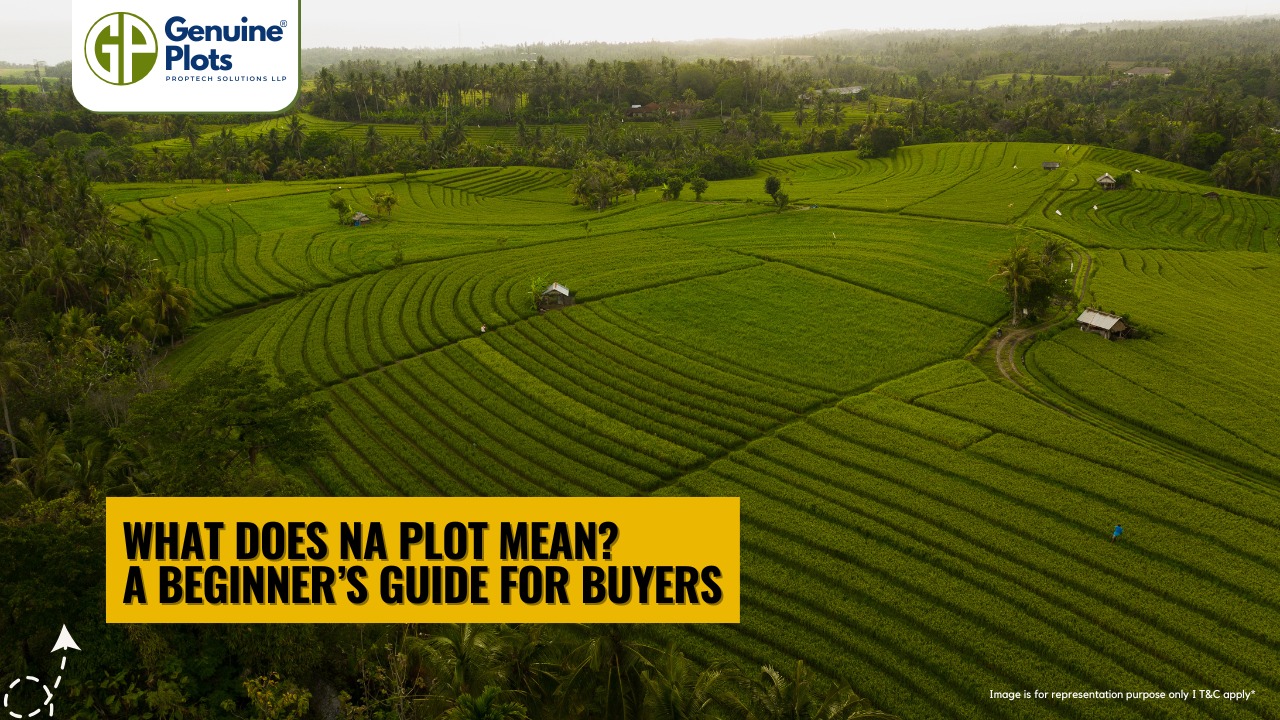 What Does NA Plot Mean? A Beginner’s Guide for Buyers